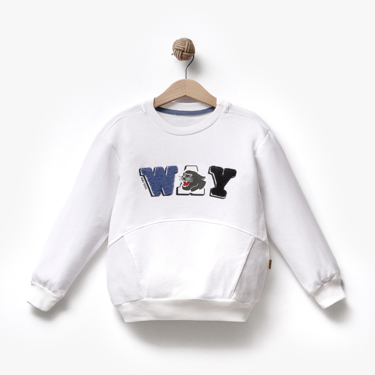 ERKEK ÇOCUK 5-8 YAŞ NAKIŞLI SWEAT 