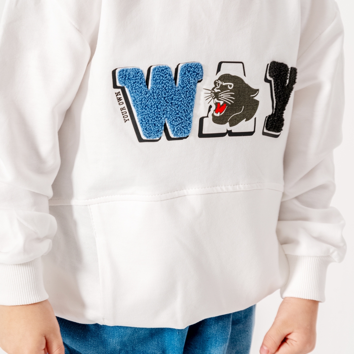 ERKEK ÇOCUK 5-8 YAŞ NAKIŞLI SWEAT 