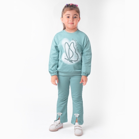 KIZ ÇOCUK 2-5 YAŞ BASKILI EŞOFMAN TAKIM 